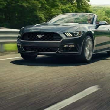 mustang8