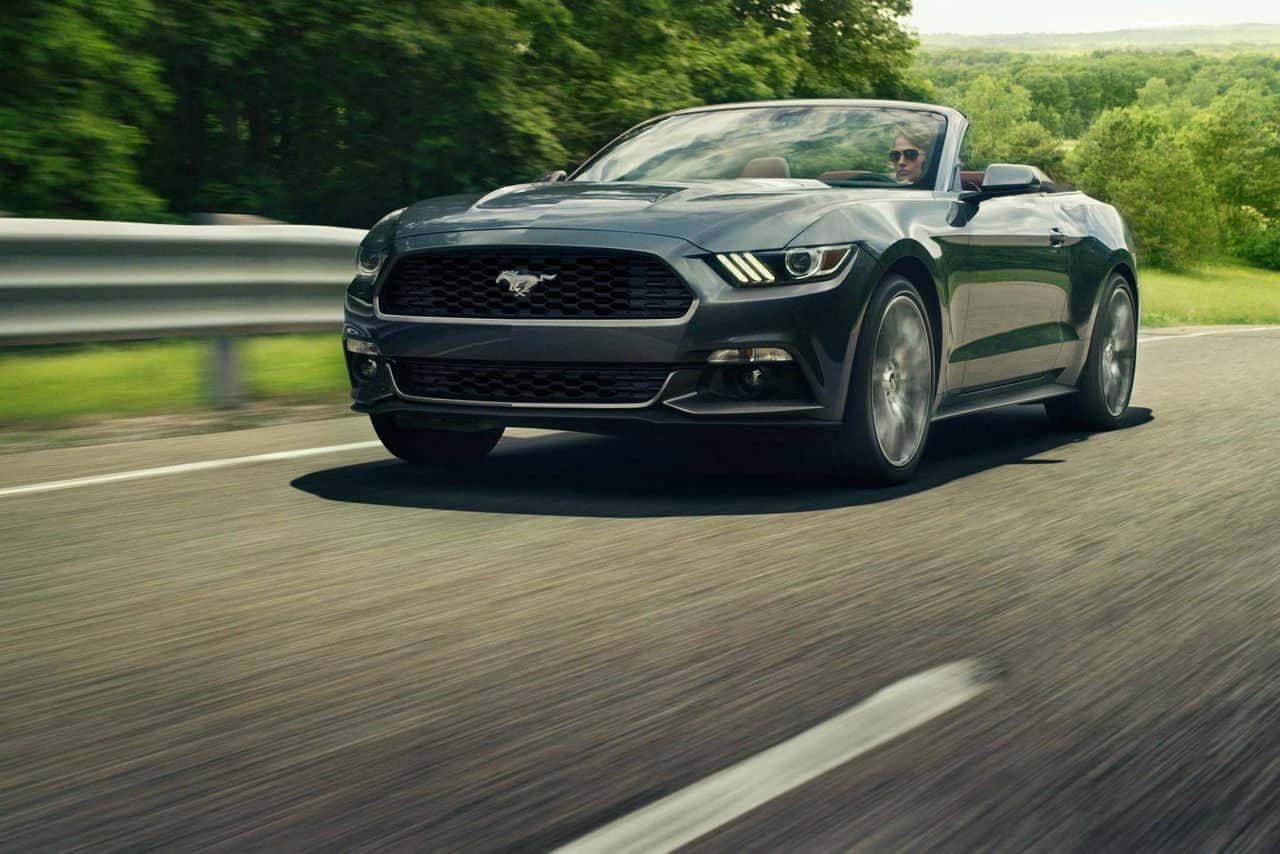 mustang8