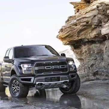 Raptor-10