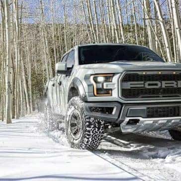 Raptor-13