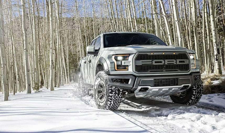 Raptor-13