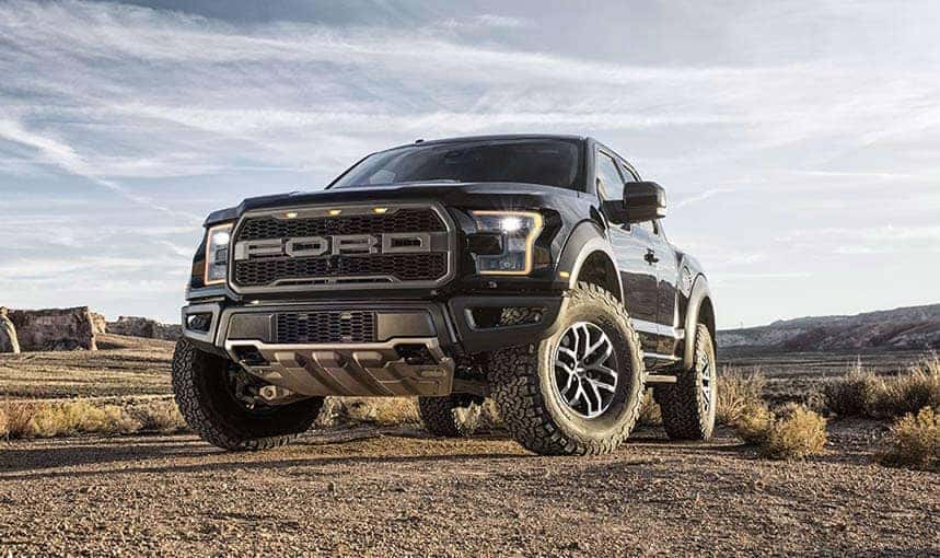 Raptor-17