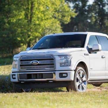 Gallery-F150-8