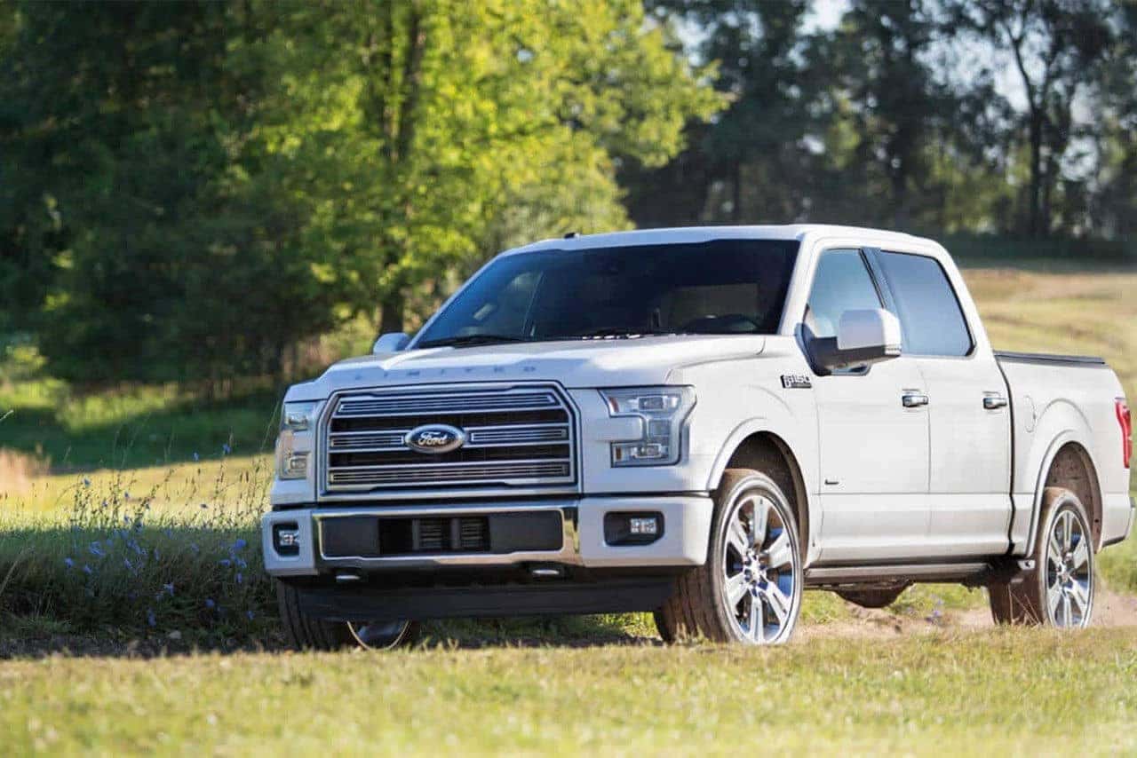 Gallery-F150-8