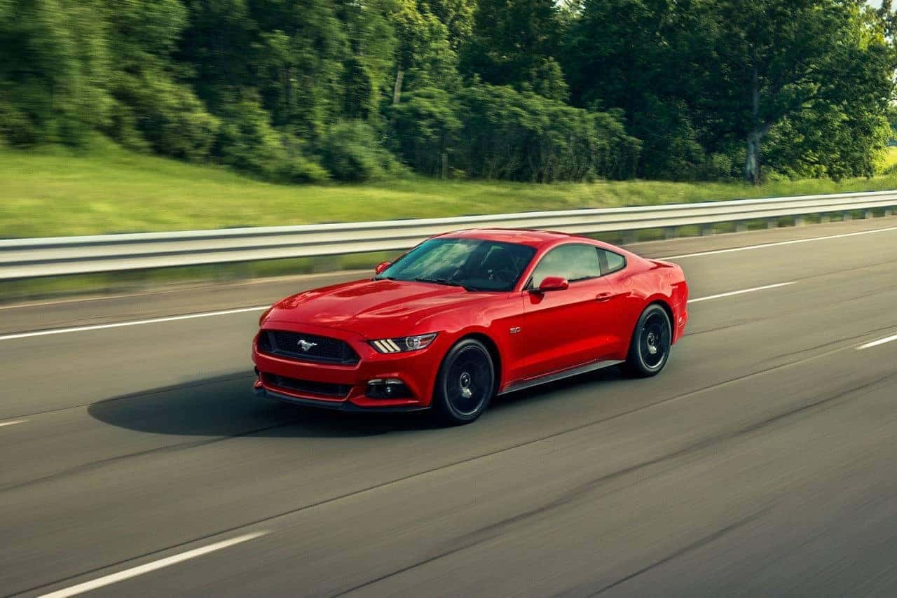 mustang