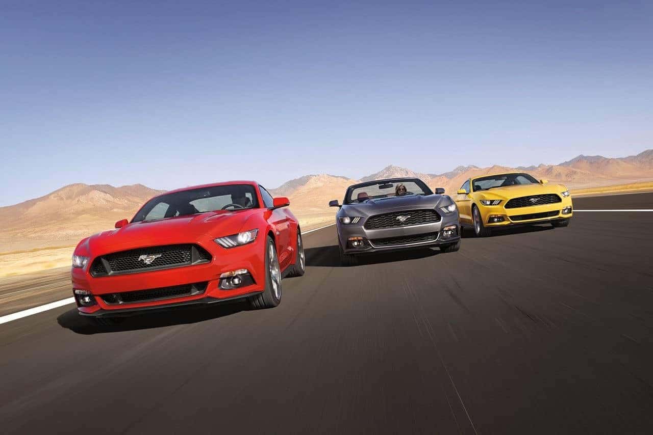 mustang12