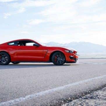 mustang2