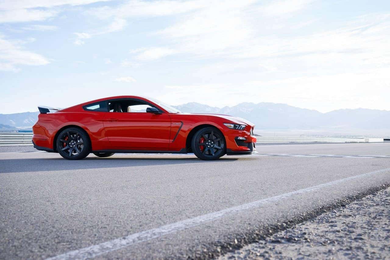 mustang2