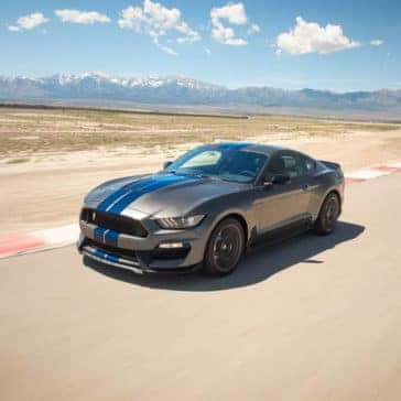 mustang3