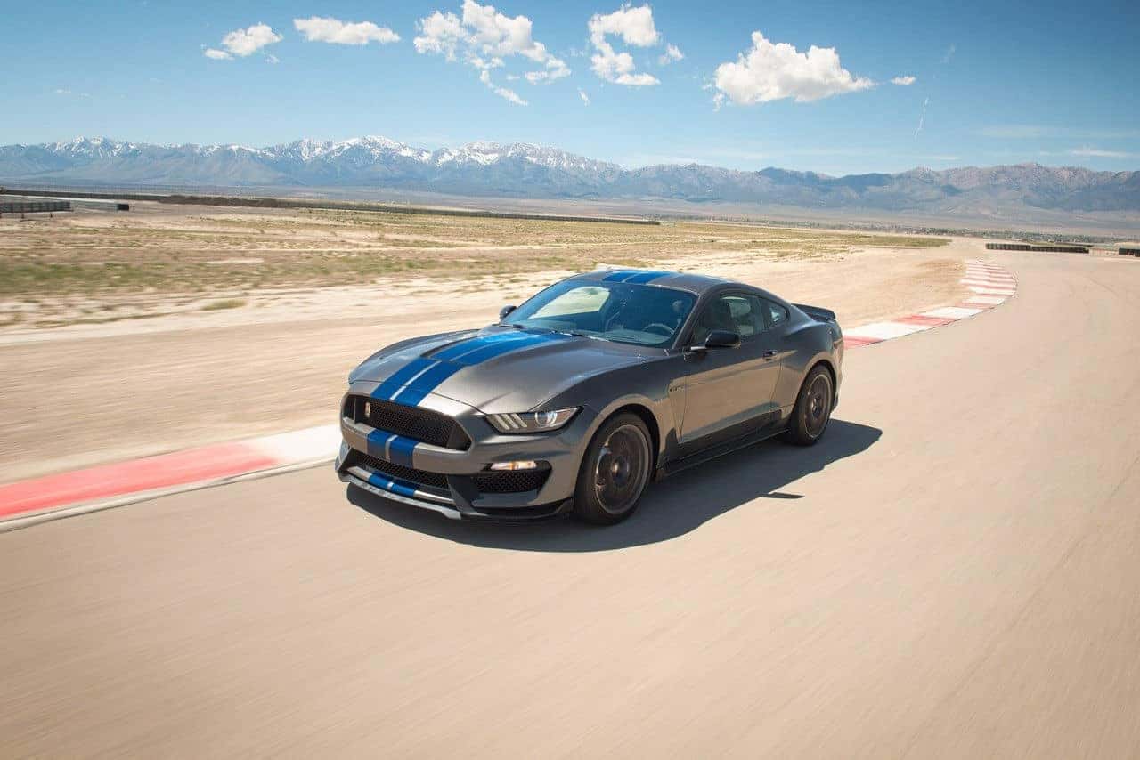 mustang3