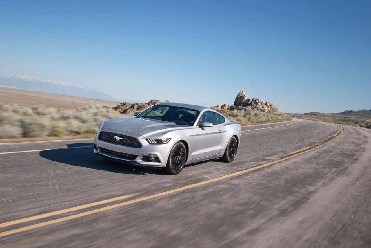 mustang4