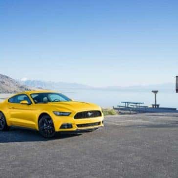 mustang5