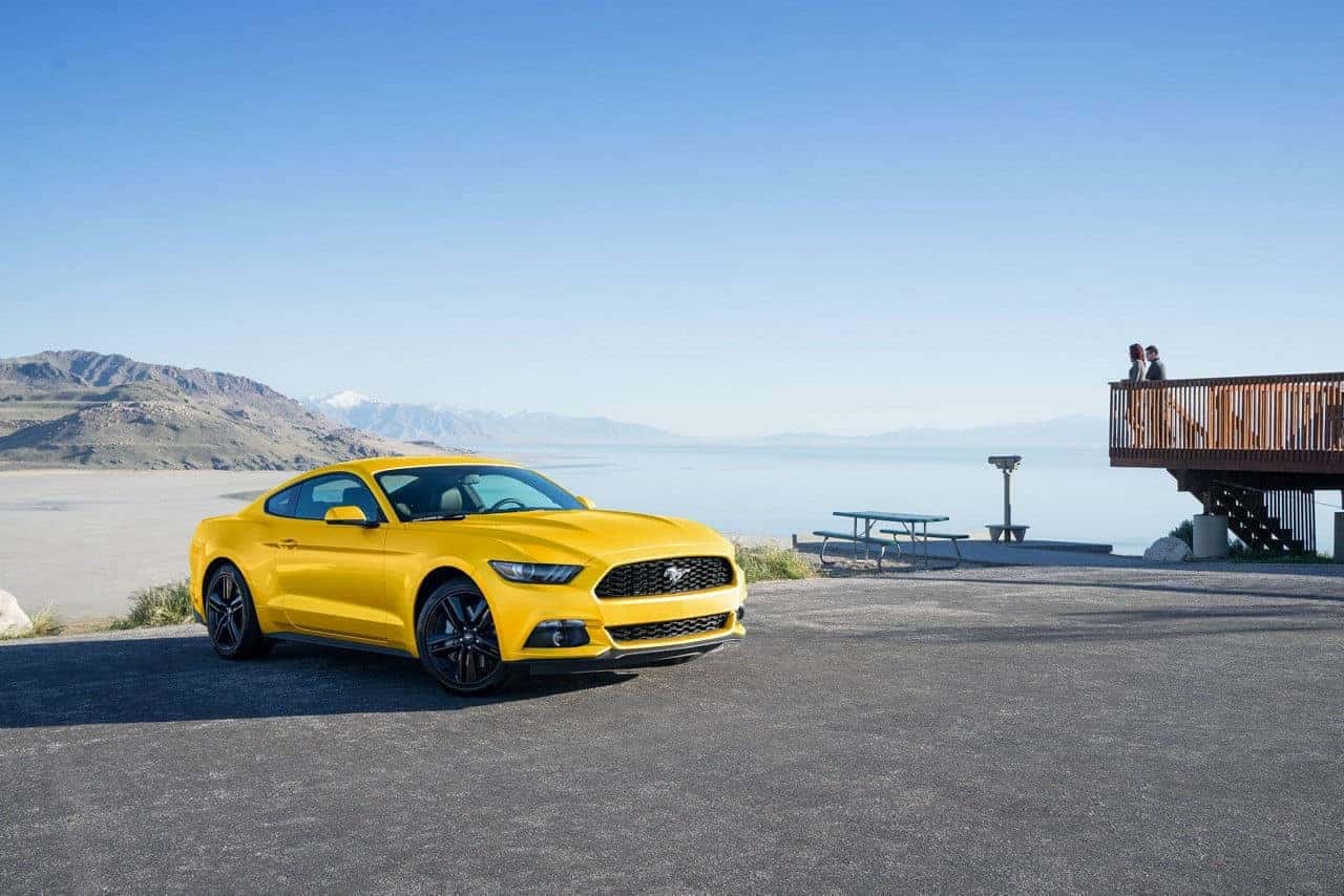 mustang5