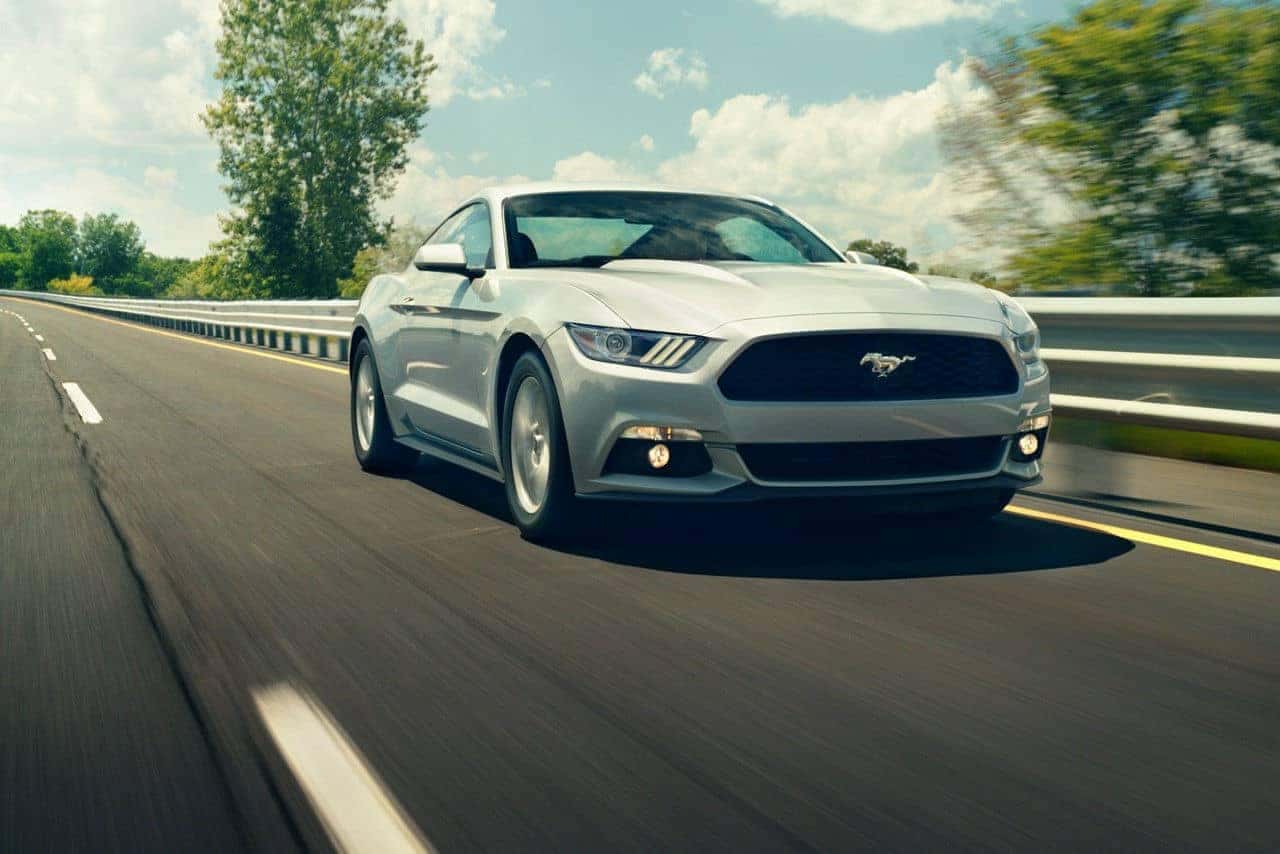 mustang7