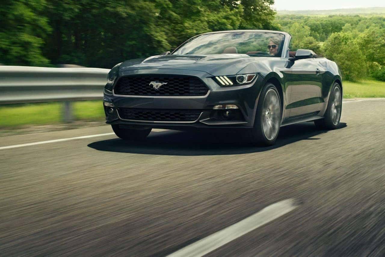 mustang8