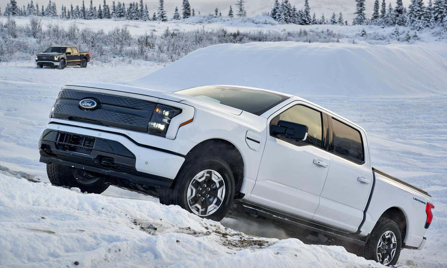 Black and White Ford F-150 Lightning Truck Snow