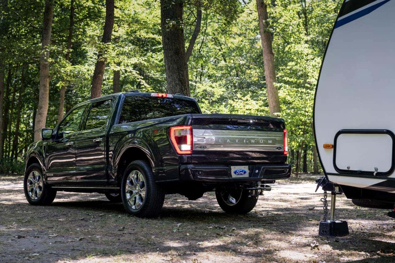 Black Ford F-150 Pickup Truck Trailer Trees
