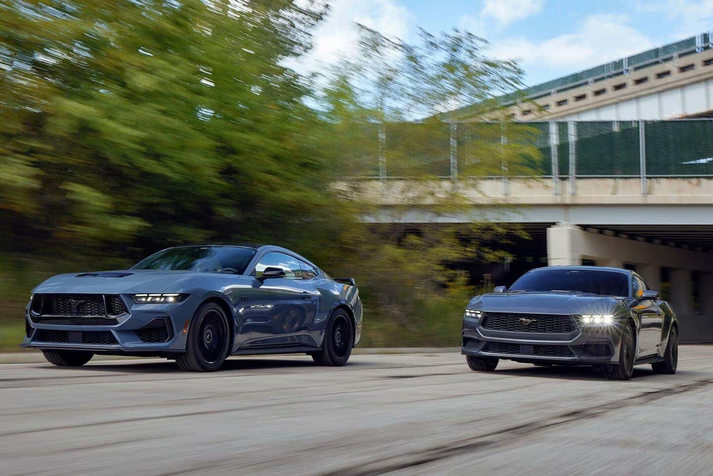 Two Blue Ford Mustang Sports Car