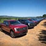 Multiple F-150 Lightning's Open Road