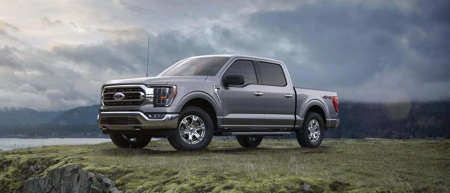 Gray Ford F-150 Pickup Green Grass Water Sky