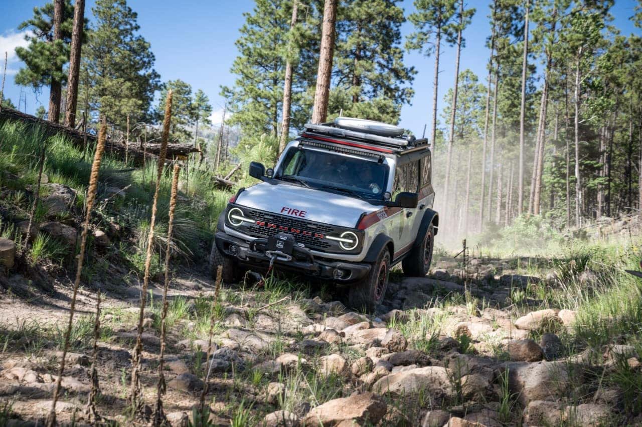 Mult-Color Ford Bronco SUV Trees Dirt Road 
