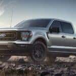 Silver Ford F-150 Pickup Truck Brown Sand