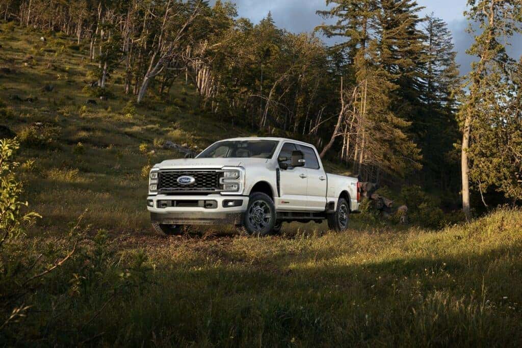 White Ford Super Duty Pickup Truck Green Grass Trees