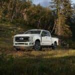 White Ford Super Duty Pickup Truck Green Grass Trees