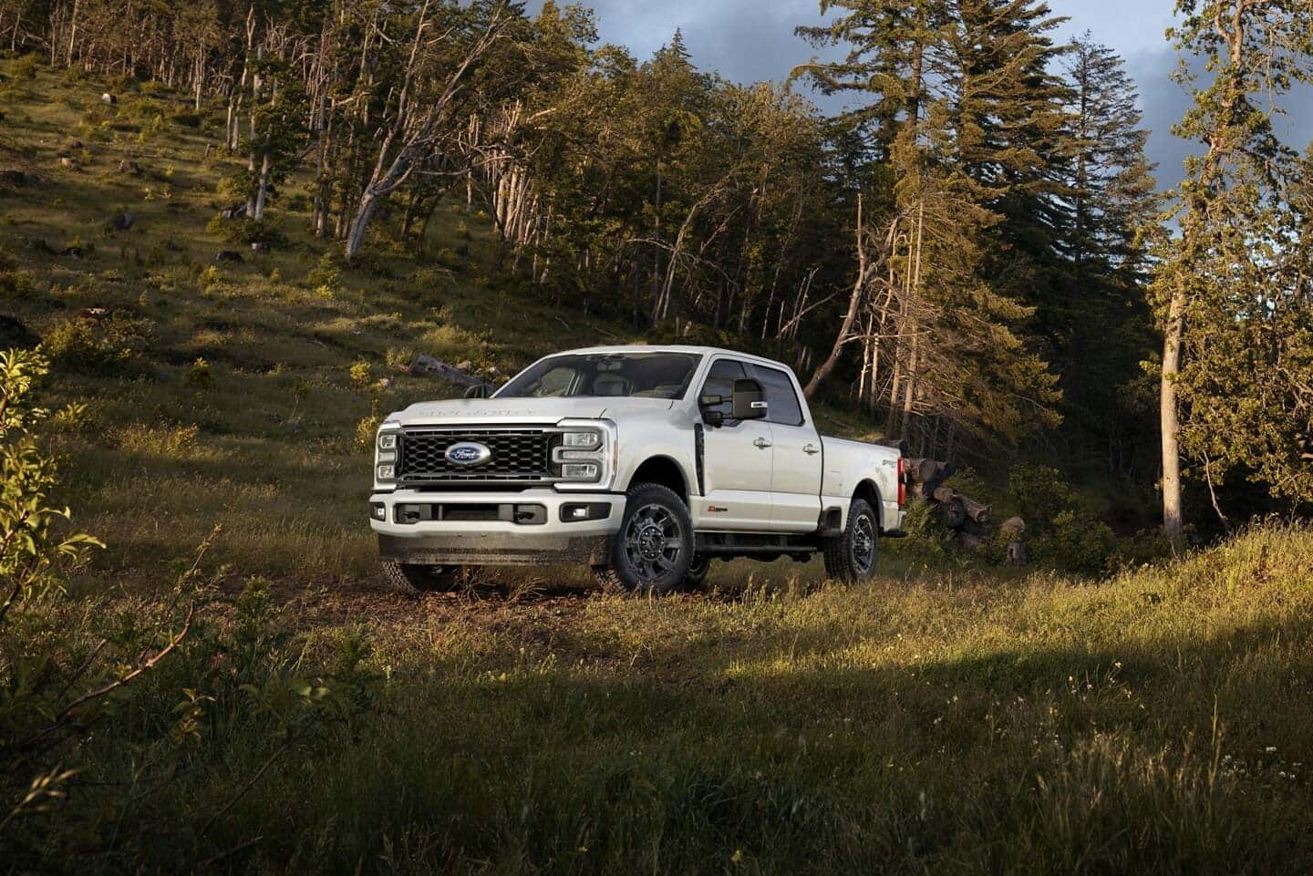 White Ford Super Duty Pickup Truck Green Grass Trees