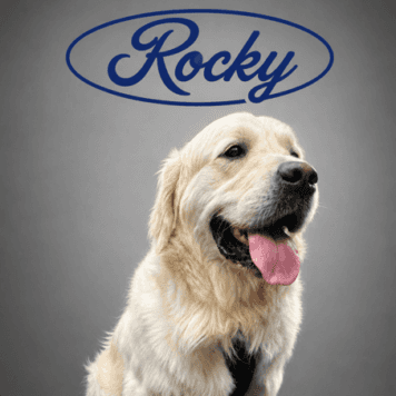 Rocky