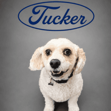 Tucker