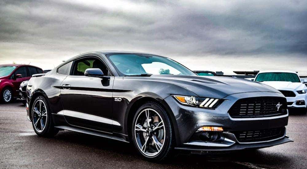 Ford Sell Rates Six Certified Pre-Owned Fords You Should Buy near Hamilton, OH