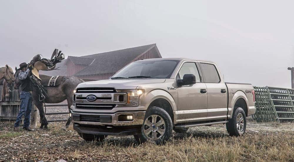 A used silver 2018 Ford F-150 on a quiet ranch on a foggy day