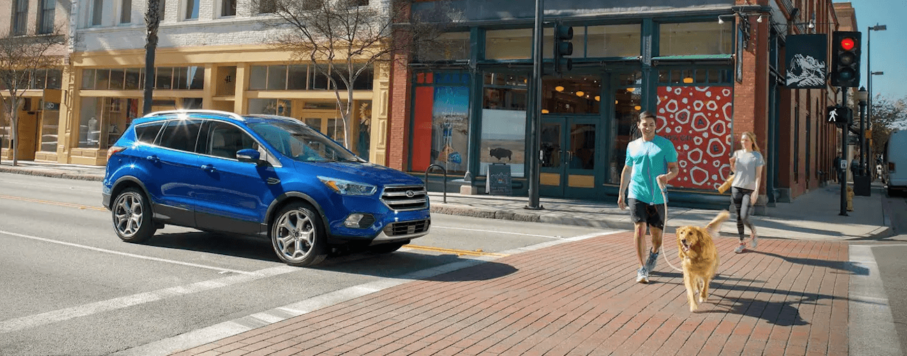 A blue 2019 Ford Escape is stopped at a crosswalk while a dog is walking past with the owner.