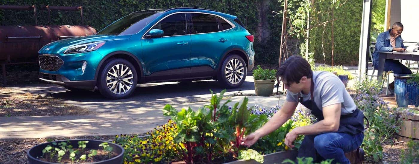 A blue 2021 Ford Escape is shown from the side parked next to a man tending a garden.