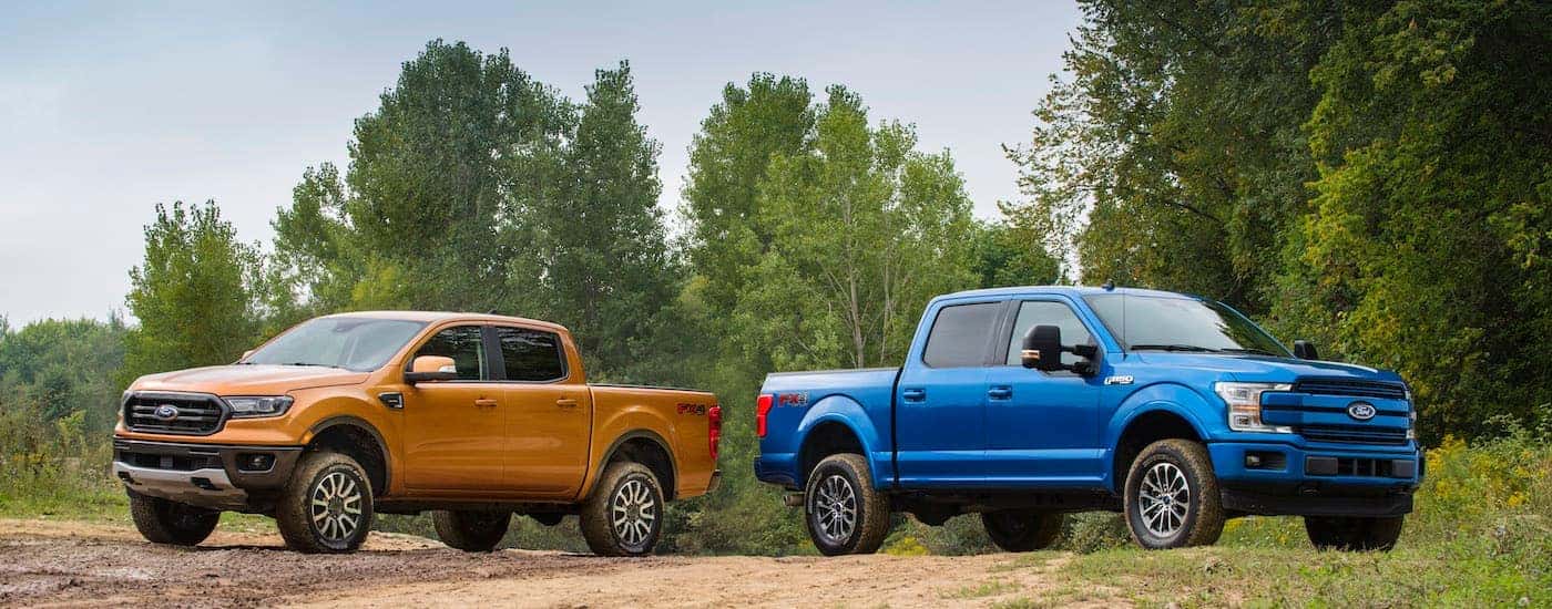 A gold 2019 Ford Ranger and a blue 2019 Ford F-150 are shown parked on a tree-lined dirt trail.