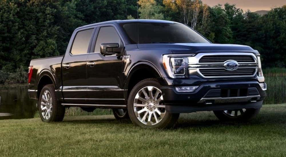 A black 2021 Ford F-150 parked on the grass near a pond in the woods