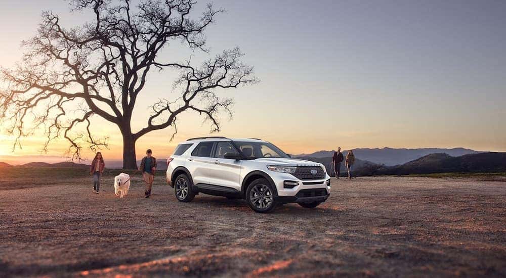 A white 2024 Ford Explorer XLT parked under a large tree in an open field.