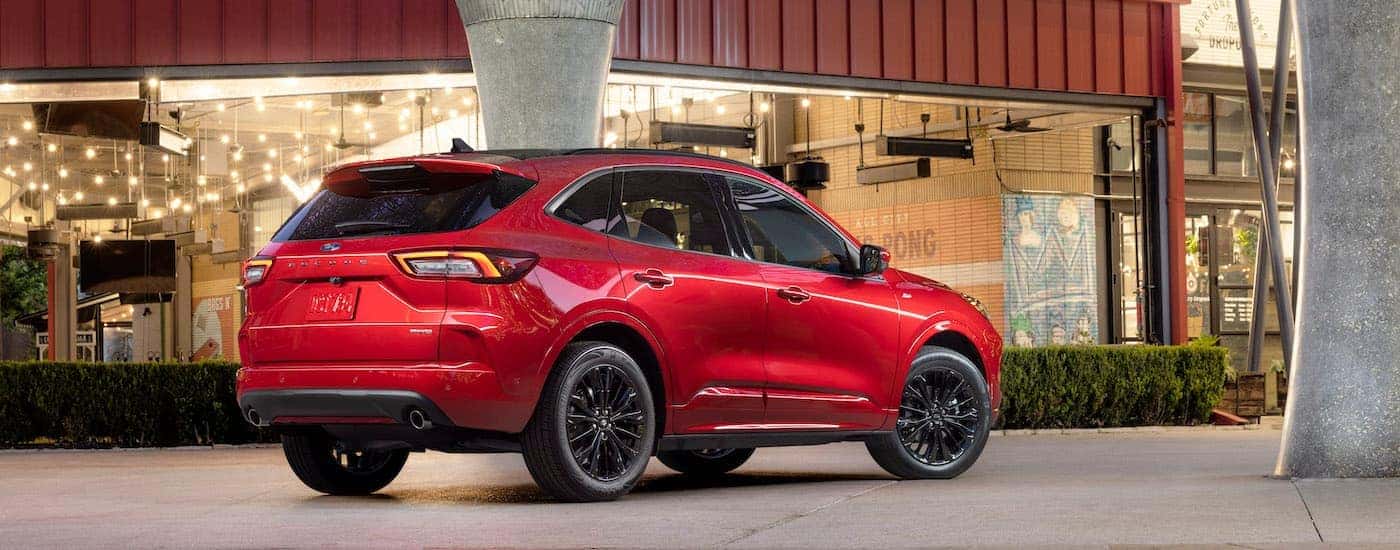 A red 2024 Ford Escape ST-Line is shown from the rear at an angle.