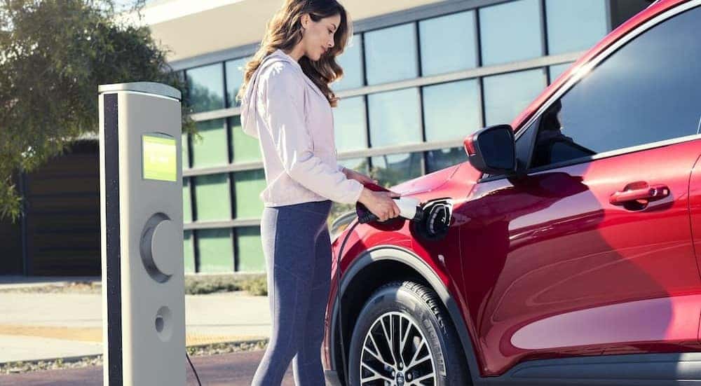 A red 2024 Ford Escape Plug-in Hybrid is shown being charged.