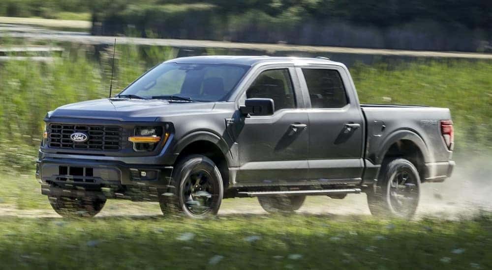 A grey  2025 Ford F-150 Tremor is shown from the side on a trail.