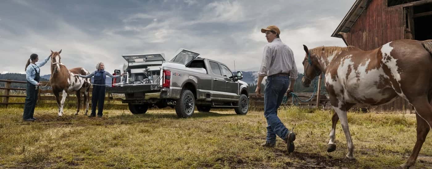 A grey 2025 Ford F-250 Platinum is parked near horses.