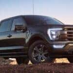 Black 2025 Ford F-150 XL Sport parked off-road.