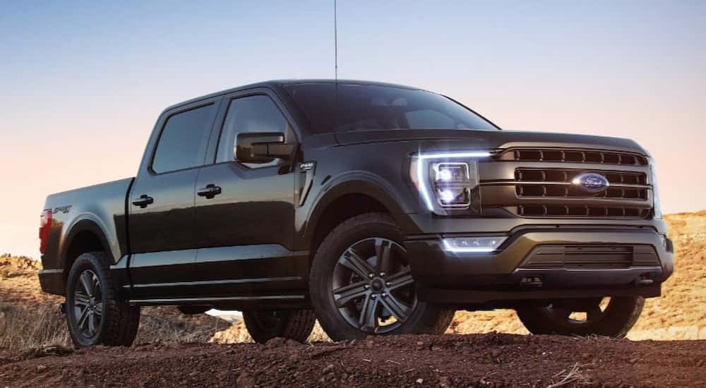 Black 2025 Ford F-150 XL Sport parked off-road.