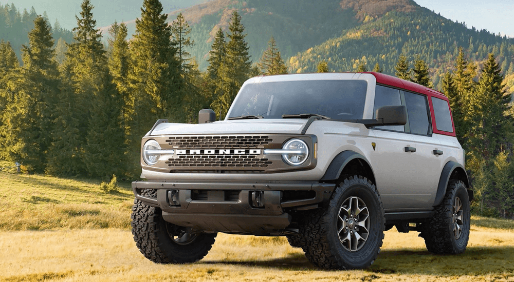 White 2025 Ford Bronco parked on grass vs 2025 Jeep Wrangler.