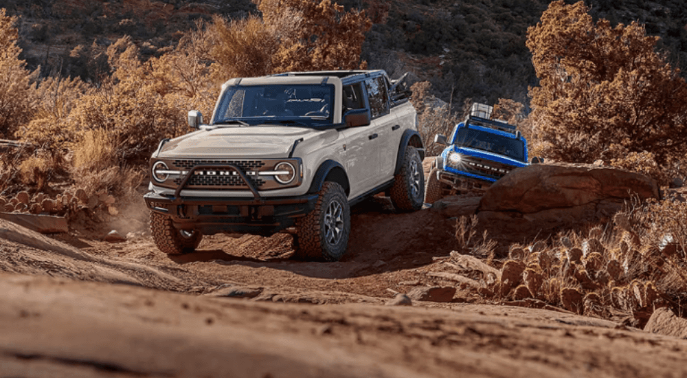 Two 2026 Ford Broncos driving off-road on a trail