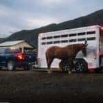A blue 2026 Ford F-150 towing a horse trailer.