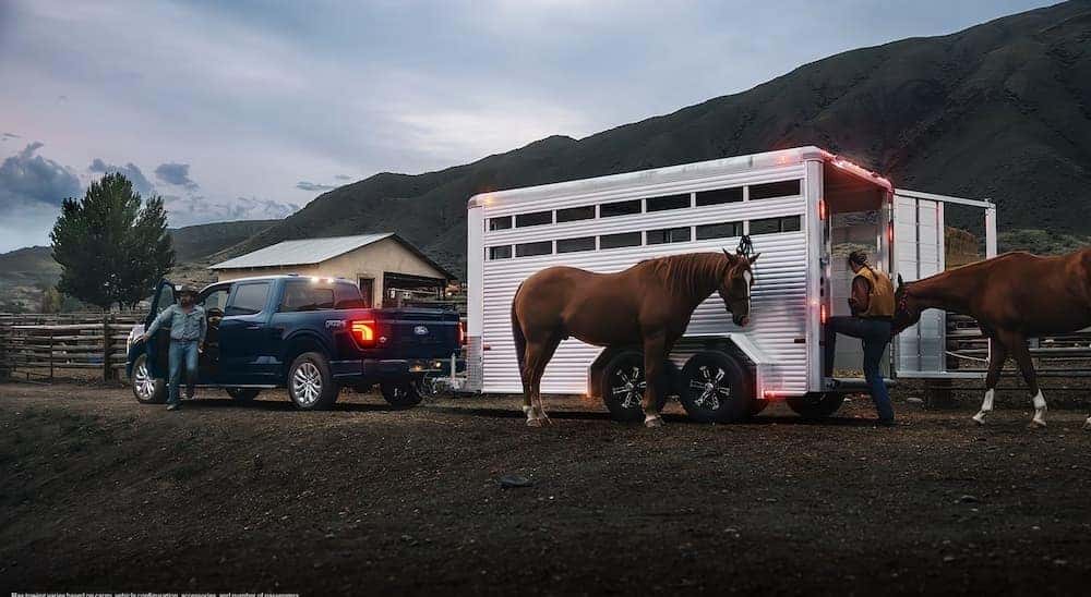 A blue 2026 Ford F-150 towing a horse trailer.