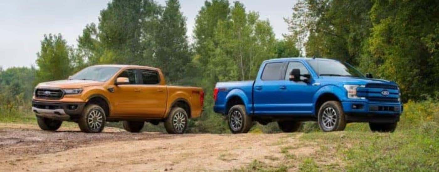 An orange Ranger and Blue F-150 are parked in the woods.