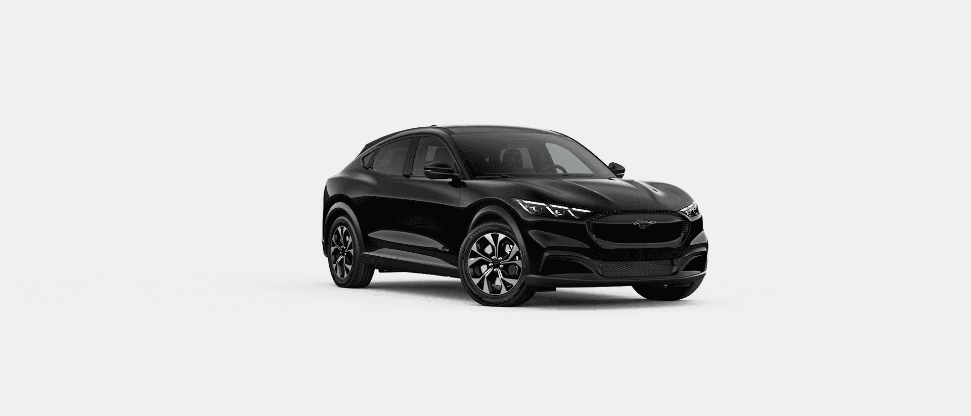 Shadow Black